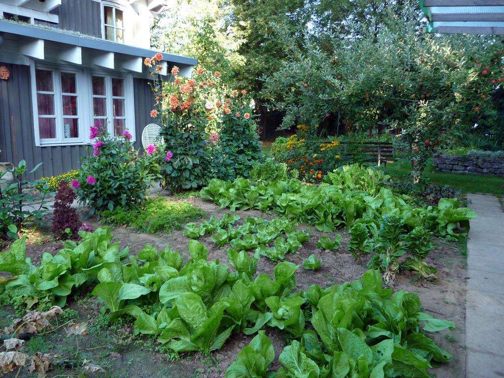 Ferienhaus Gartenlust Dierdorf Oda fotoğraf